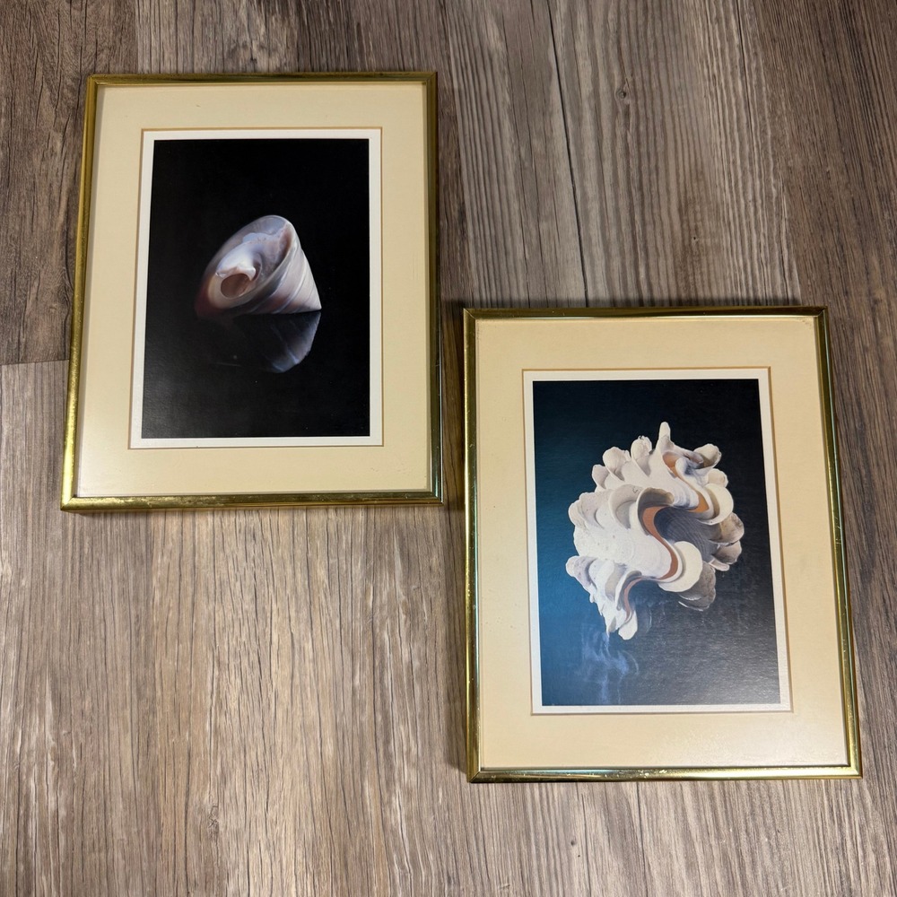 Vintage 1980s Seashell Framed Art‎ Pair Gold Brass Coastal MCM Hollywood Regency